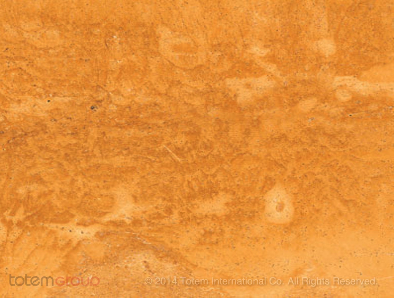TGTR 325 - Golden Travertine